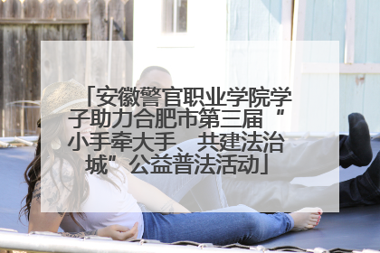 安徽警官职业学院学子助力合肥市第三届“小手牵大手、共建法治城”公益普法活动