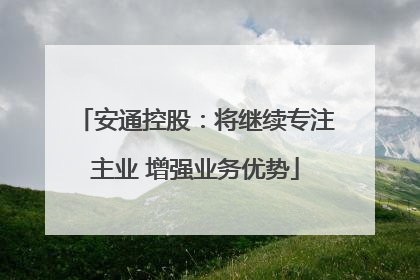 安通控股：将继续专注主业 增强业务优势