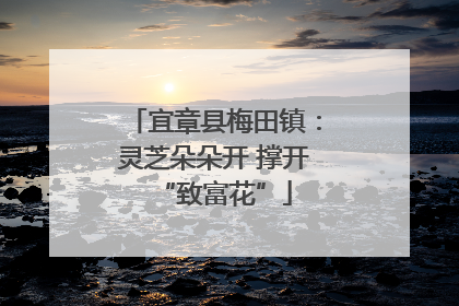 宜章县梅田镇：灵芝朵朵开 撑开“致富花”