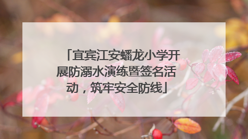 宜宾江安蟠龙小学开展防溺水演练暨签名活动，筑牢安全防线