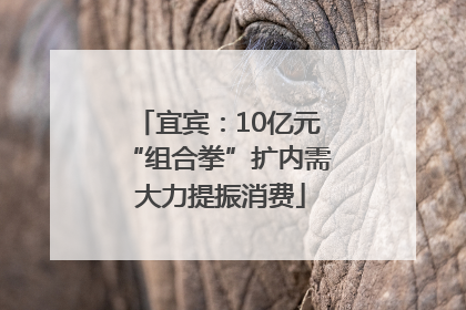 宜宾：10亿元“组合拳”扩内需 大力提振消费