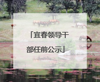 宜春领导干部任前公示