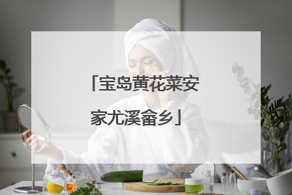 宝岛黄花菜安家尤溪畲乡