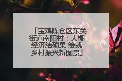 宝鸡陈仓区东关街道南阳村：大棚经济结硕果 绘就乡村振兴新图景