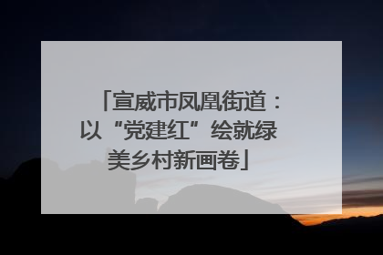 宣威市凤凰街道：以“党建红”绘就绿美乡村新画卷