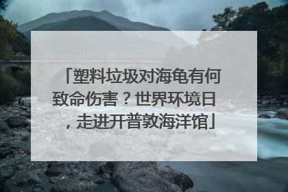 塑料垃圾对海龟有何致命伤害？世界环境日，走进开普敦海洋馆