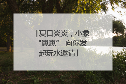 夏日炎炎，小象“崽崽” 向你发起玩水邀请