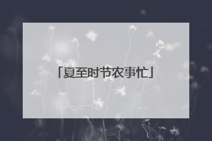 夏至时节农事忙