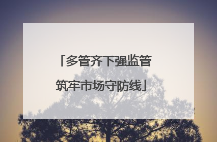 多管齐下强监管 筑牢市场守防线