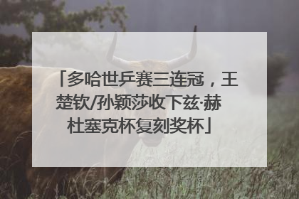 多哈世乒赛三连冠，王楚钦/孙颖莎收下兹·赫杜塞克杯复刻奖杯