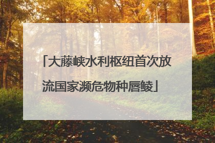 大藤峡水利枢纽首次放流国家濒危物种唇鲮