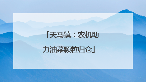 天马镇：农机助力油菜颗粒归仓