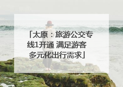 太原：旅游公交专线1开通 满足游客多元化出行需求