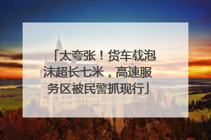 太夸张！货车载泡沫超长七米，高速服务区被民警抓现行