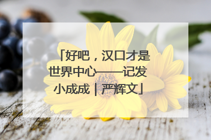 好吧，汉口才是世界中心——记发小成成｜严辉文