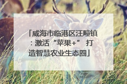 威海市临港区汪疃镇：激活“苹果+” 打造智慧农业生态圈