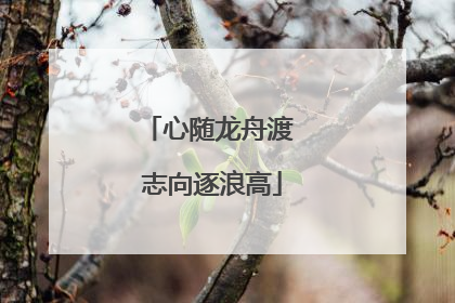 心随龙舟渡 志向逐浪高