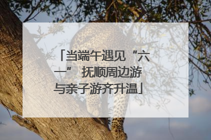 当端午遇见“六一” 抚顺周边游与亲子游齐升温