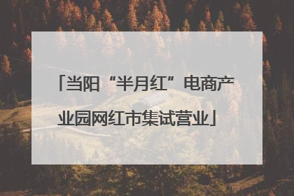 当阳“半月红”电商产业园网红市集试营业
