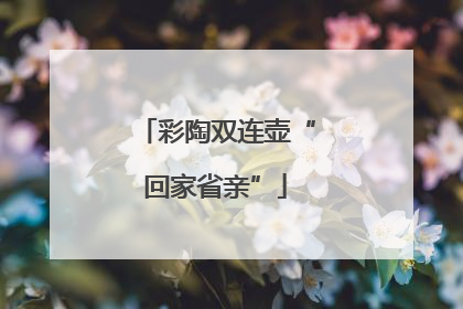 彩陶双连壶“回家省亲”
