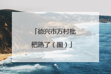 德兴市万村枇杷熟了（图）