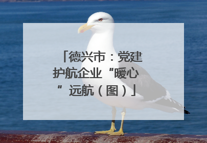 德兴市：党建护航企业“暖心”远航（图）