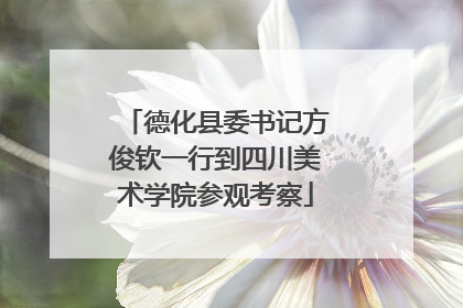 德化县委书记方俊钦一行到四川美术学院参观考察