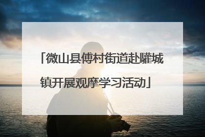 微山县傅村街道赴驩城镇开展观摩学习活动