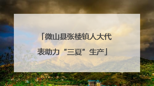 微山县张楼镇人大代表助力“三夏”生产
