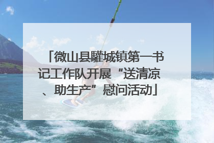 微山县驩城镇第一书记工作队开展“送清凉、助生产”慰问活动