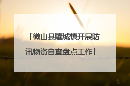 微山县驩城镇开展防汛物资自查盘点工作