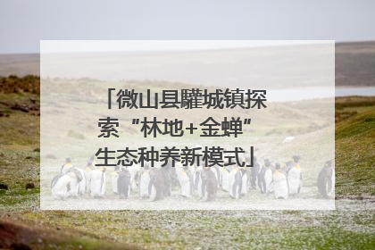 微山县驩城镇探索“林地+金蝉”生态种养新模式