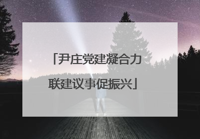 尹庄党建凝合力 联建议事促振兴