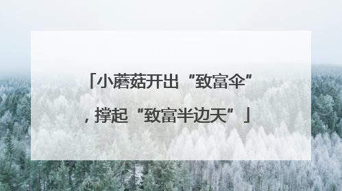 小蘑菇开出“致富伞”，撑起“致富半边天”