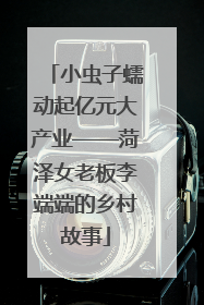 小虫子蠕动起亿元大产业——菏泽女老板李端端的乡村故事