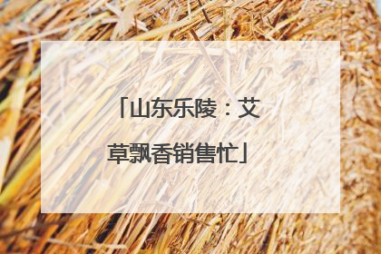山东乐陵：艾草飘香销售忙
