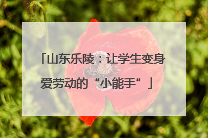 山东乐陵：让学生变身爱劳动的“小能手”
