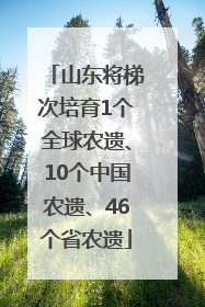 山东将梯次培育1个全球农遗、10个中国农遗、46个省农遗