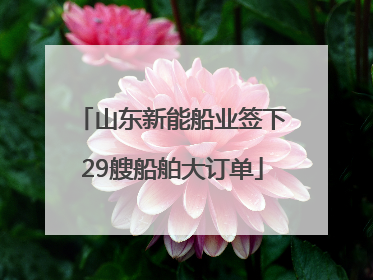 山东新能船业签下29艘船舶大订单