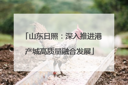山东日照：深入推进港产城高质量融合发展