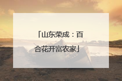山东荣成：百合花开富农家