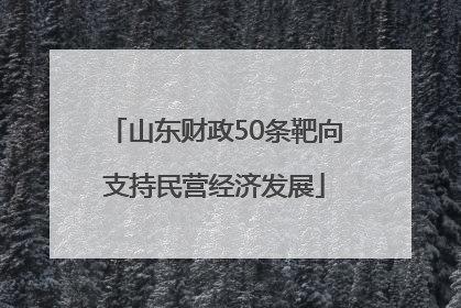 山东财政50条靶向支持民营经济发展