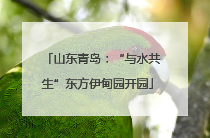 山东青岛：“与水共生”东方伊甸园开园