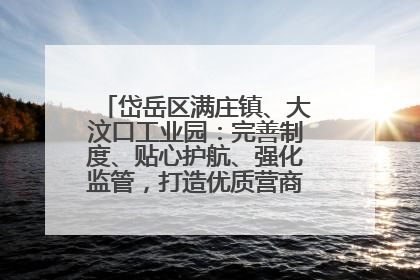 岱岳区满庄镇、大汶口工业园：完善制度、贴心护航、强化监管，打造优质营商“强磁场”