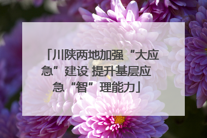 川陕两地加强“大应急”建设 提升基层应急“智”理能力