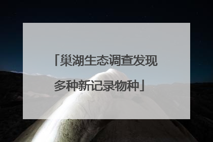 巢湖生态调查发现多种新记录物种