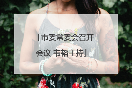 市委常委会召开会议 韦韬主持