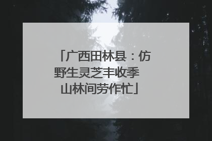 广西田林县：仿野生灵芝丰收季 山林间劳作忙
