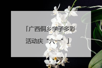 广西侗乡学子多彩活动庆“六一”