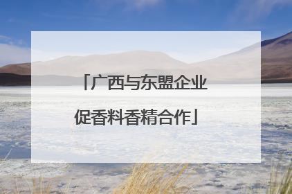 广西与东盟企业促香料香精合作